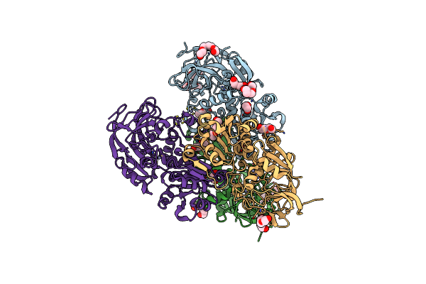 8CO4 image
