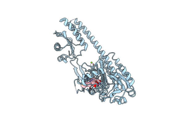 8CO5 image
