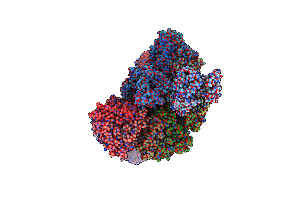 8CO6 image