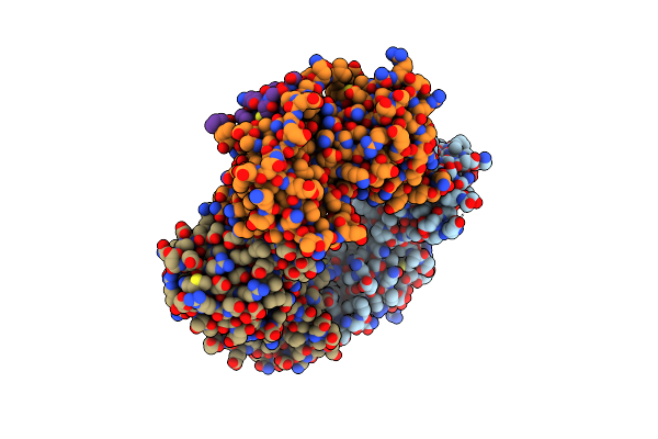 8COB image