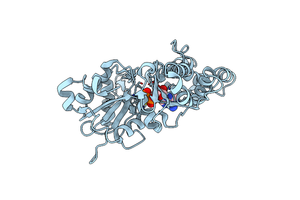 8COG image