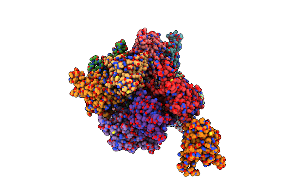 8COI image