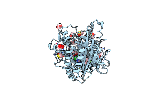 8COJ image