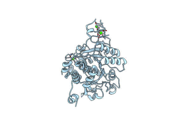 8CP0 image