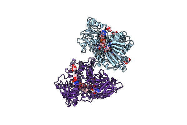 8CP2 image
