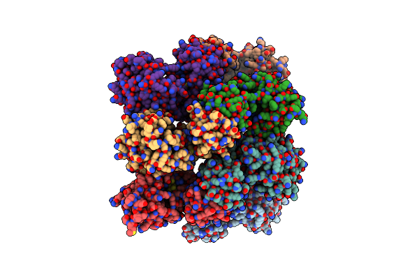 8CP4 image