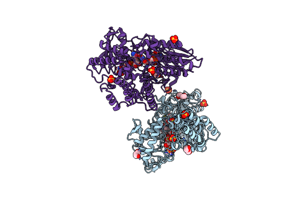 8CP5 image