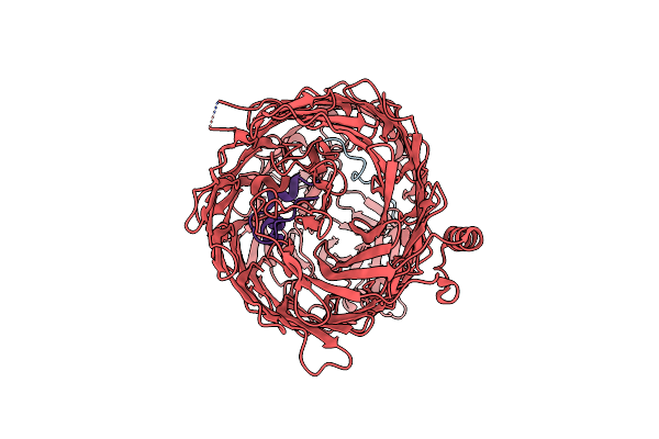 8CP6 image