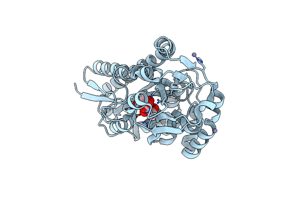 8CP7 image