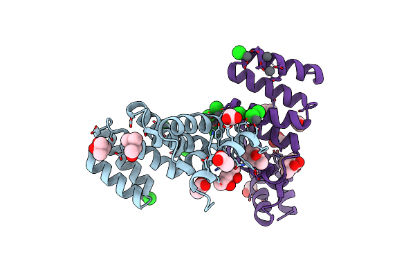 8CP8 image