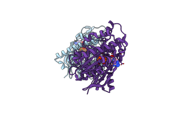 8CP9 image