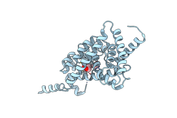 8CPJ image