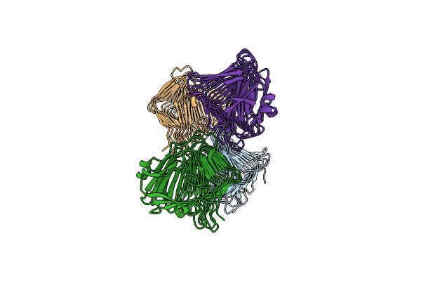 8CPK image