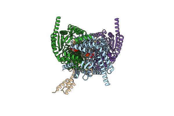 8CPL image