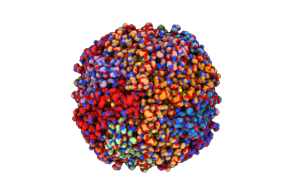 8CPS image