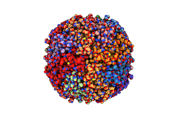8CPX image