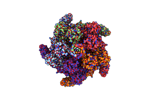 8CPZ image
