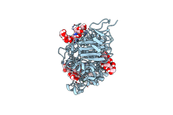 8CQF image