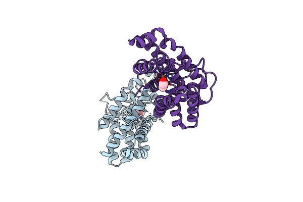8CQM image