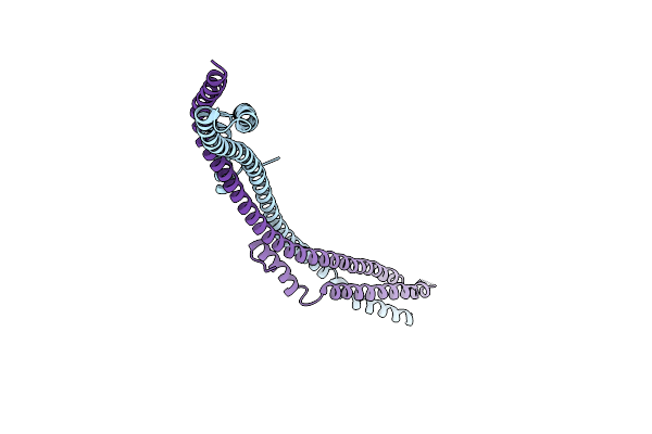 8CQO image
