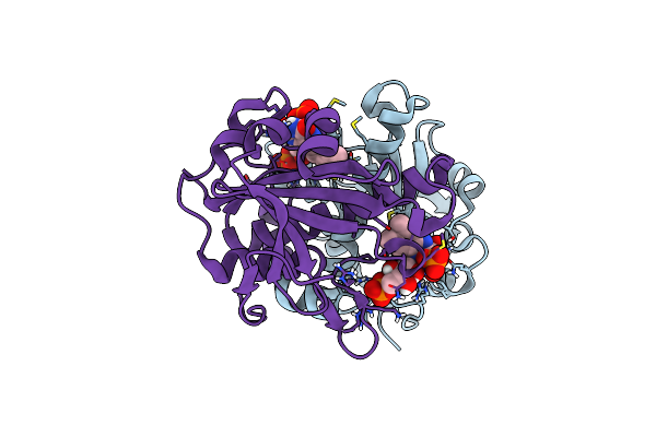 8CQS image