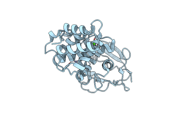 8CR4 image