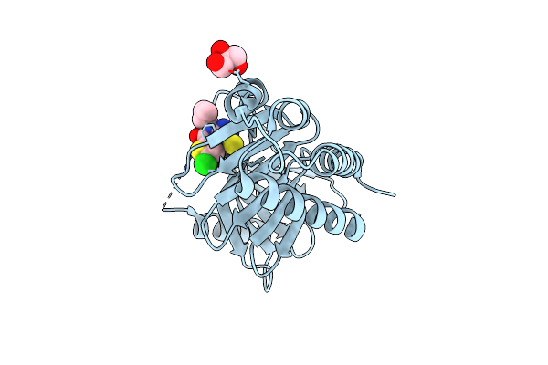 8CRC image