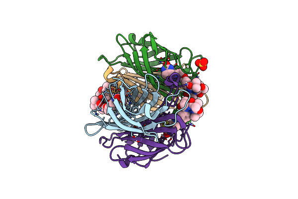 8CRN image