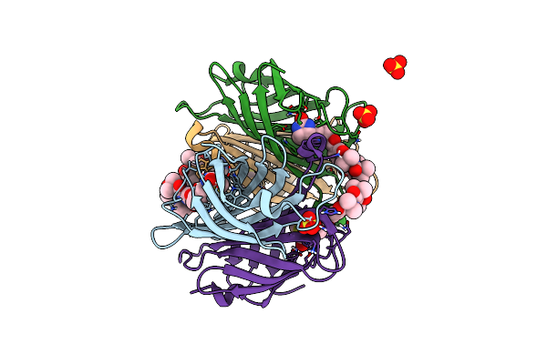 8CRP image