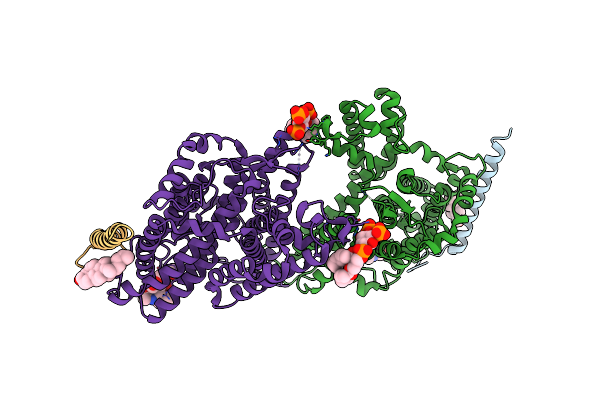 8CRQ image