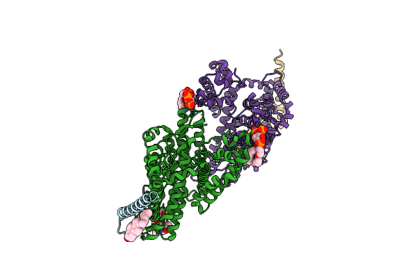 8CRR image
