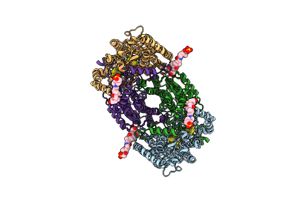 8CRS image
