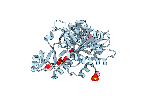 8CRV image