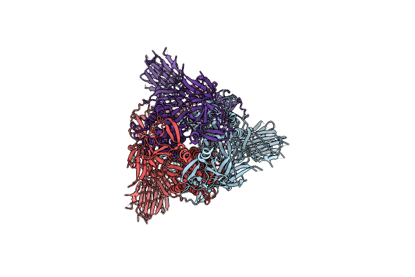 8CSA image