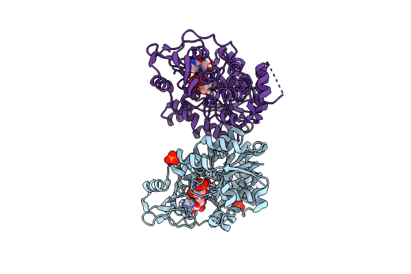 8CSB image