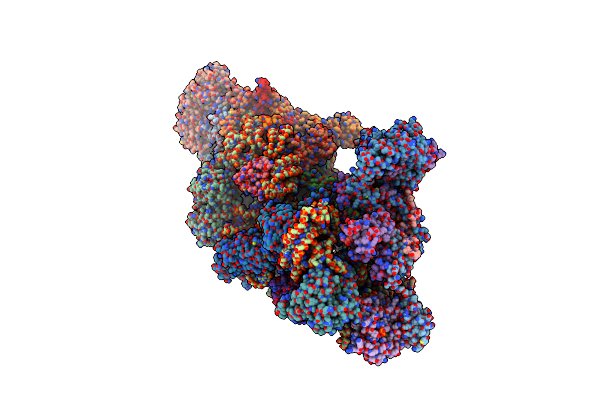 8CSP image