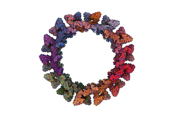 8CT1 image