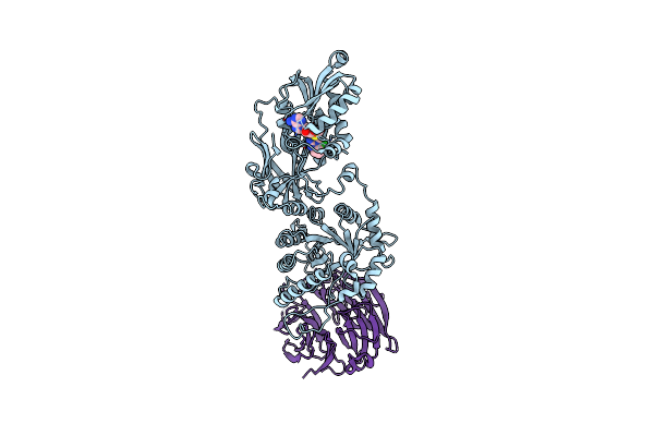 8CTB image
