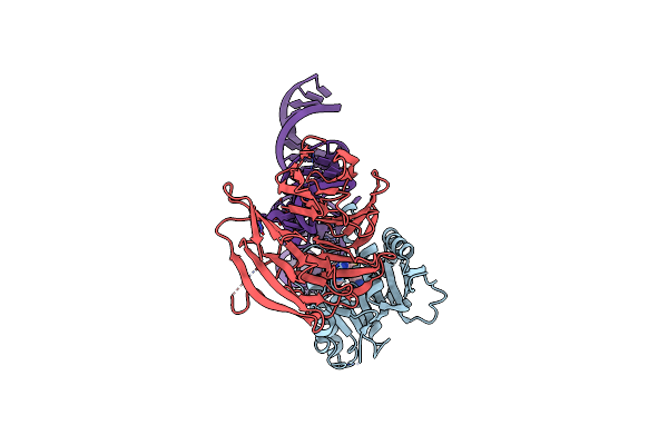 8CTH image