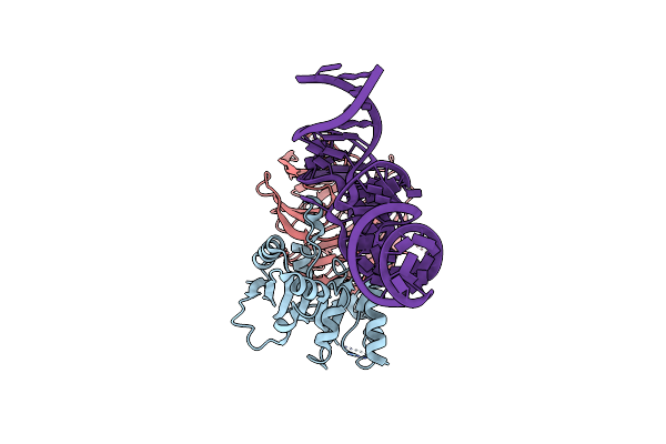8CTI image