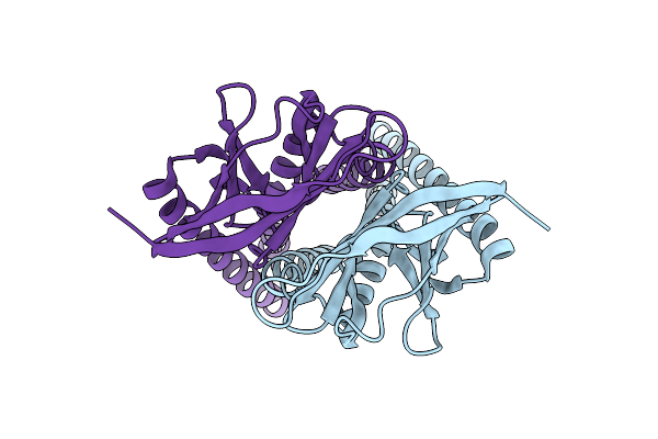 8CTK image