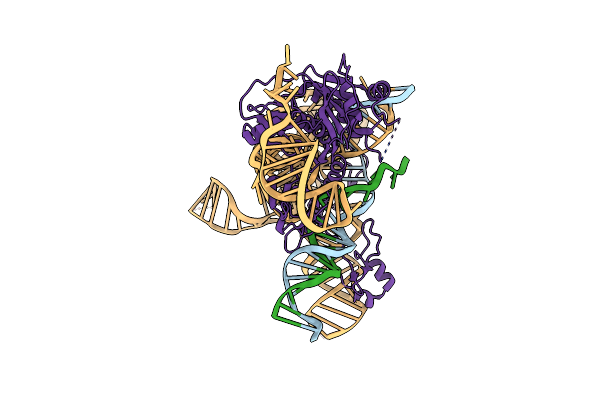 8CTL image