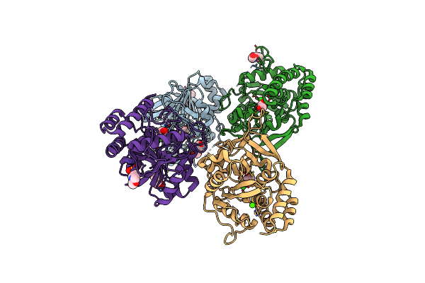 8CTM image