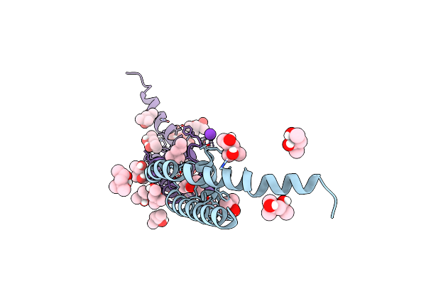 8CTN image