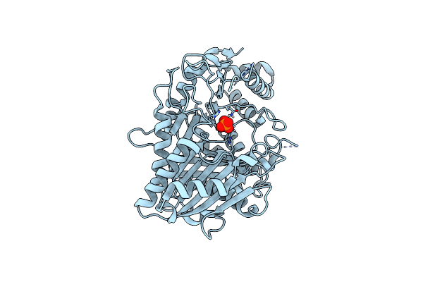 8CTP image