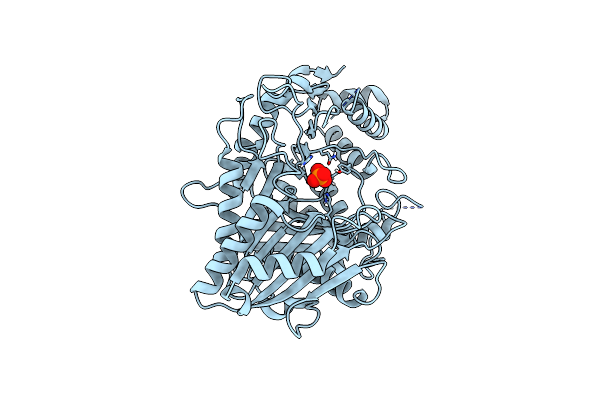 8CTQ image