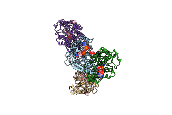 8CTR image
