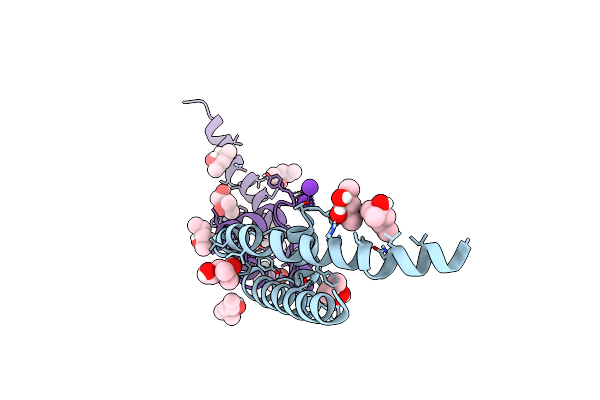 8CTT image