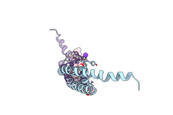 8CTU image