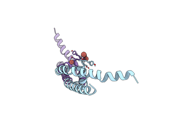 8CTX image